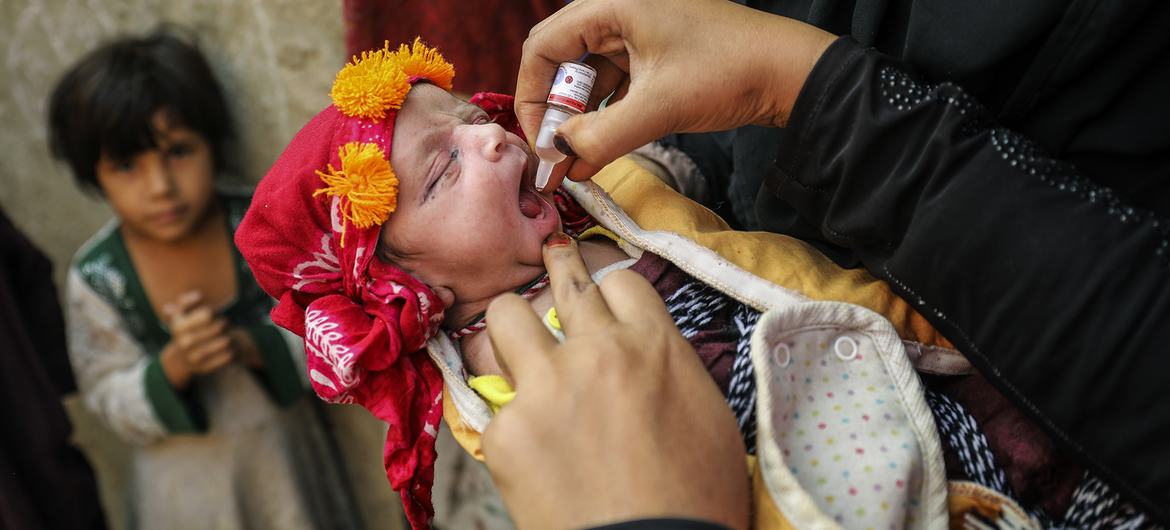 หนทางสู่การกำจัดโรคโปลิโอ: เหตุการณ์สำคัญที่องค์การอนามัยโลกบรรลุ