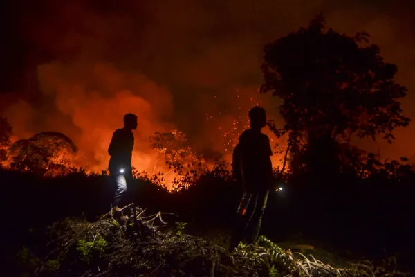 ปัญหาการเผาไหม้ของอินโดนีเซีย: ความเสี่ยงไฟป่าที่เพิ่มสูงขึ้นท่ามกลางสภาพอากาศที่แห้งแล้ง